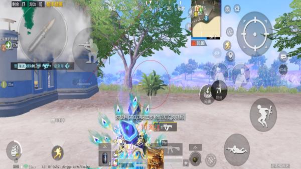 和平精英辅助【飞鸟】